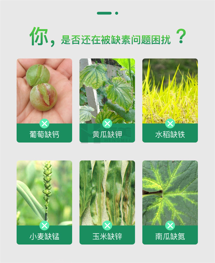 高智能土壤養分檢測儀怎么選？